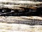 Colored high contrast wooden texture