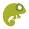 Colored icon cute baby green chameleon