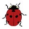 Colored icon ladybug on a white background.