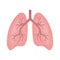 The colored icon is lungs. An internal pipe organ located in the chest cavity, which carries out gas exchange between inhaled air