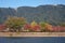 The colored leaves trees on the shore of Nishiki river in the fall. Iwakuni. Japan