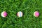 Colored little balls for cats, dogs on green grass