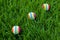 Colored little balls for cats, dogs on green grass