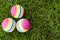 Colored little balls for cats, dogs on green grass