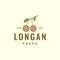 Colored longan fruit minimal logo
