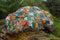 Colored Mani Stones with Buddhist mantra in Himalaya, Nepal