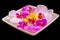 Colored orchid flowers, mauve, yellow, pink, purple in a white tray