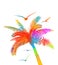 Colored palm tree with seagulls. Vector illustration. Trendy summer vacation background.