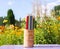 Colored pencils in a handmade birch bark organiser on nature background