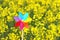 Colored pinwheel toy in yellow blooming rape field