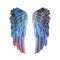 Colored plaster wings
