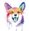 Colored portrait of dog in pop art technique