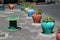 Colored pots with plants