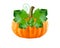 Colored pumpkin with leaves vector