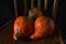Colored pumpkins on wooden chair. Autumn scene