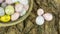 Colored quail eggs on a background