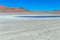 Colored Red Altiplanic Lagoon, a shallow saline lake in the southwest of the Altiplano of Bolivia