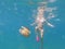 Colored ribbed jellyfish comes dangerously close to a swimmer