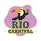 Colored rio de janeiro carnival poster with cute toucan Vector