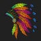 Colored roach.Indian feather headdress of eagle