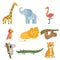 Colored set of animal and birds. Giraffe, elephant, flamingo, parrot, lion, sloth, koala bear, crocodile and tiger. Zoo