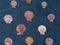 Colored shells on blue textile background