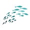 Colored silhouettes of groups of sea fishes. Colony of small fish. Icon with river taxers. Logo fish.