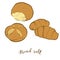 Colored sketches of Bread roll bread