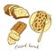 Colored sketches of Carrot bread bread