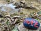 Colored stone with an inspiring message in times of fear and panic triggered by a sudden coronavirus pandemic - Switzerland