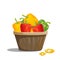 Colored sweet peppers lie in a basket, a juicy healthy vegetable with a tail. The picture is isolated on a white