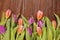 Colored tulip in a wood background