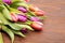 Colored tulipe, easter and spring flower