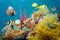 Colored underwater marine life in a coral reef