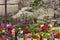 Colored vases with flowers on the rock