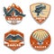 Colored Vintage American Eagles Emblems Set