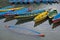 Colored wooden boats Phewa lake Podhara Nepal