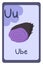 Colorful abc education flash card, Letter U - ube, purple root.