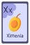 Colorful abc education flash card, Letter X - ximenia, orange fruit. Alphabet vector illustration with food, fruits and