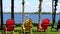 Colorful adirondack chairs on the green grass near a beautiful lake