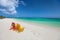 Colorful adirondack lounge chairs at Caribbean beach