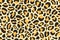 Colorful african leopard animalistic fur texture seamless pattern. Bright colorful spotted exotic predator wallpaper