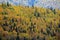 Colorful alpine autumn pattern background