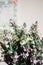 colorful amazing wildflowers in vase on background of rustic room