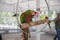 Colorful amazon parrot stand on the tree