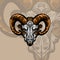 Colorful angry horned goat head in vintage style isolated vector illustration