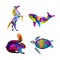 Colorful animal pop art portrait in pack horse whale squirrel and turtle