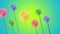 Colorful animation made with flowers