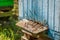 Colorful apiary with bees, summer in countryside