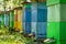 Colorful apiary in summer sunny day